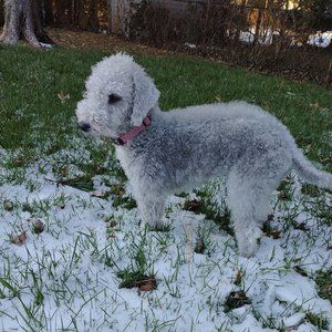 Meet your Posher, Maddie